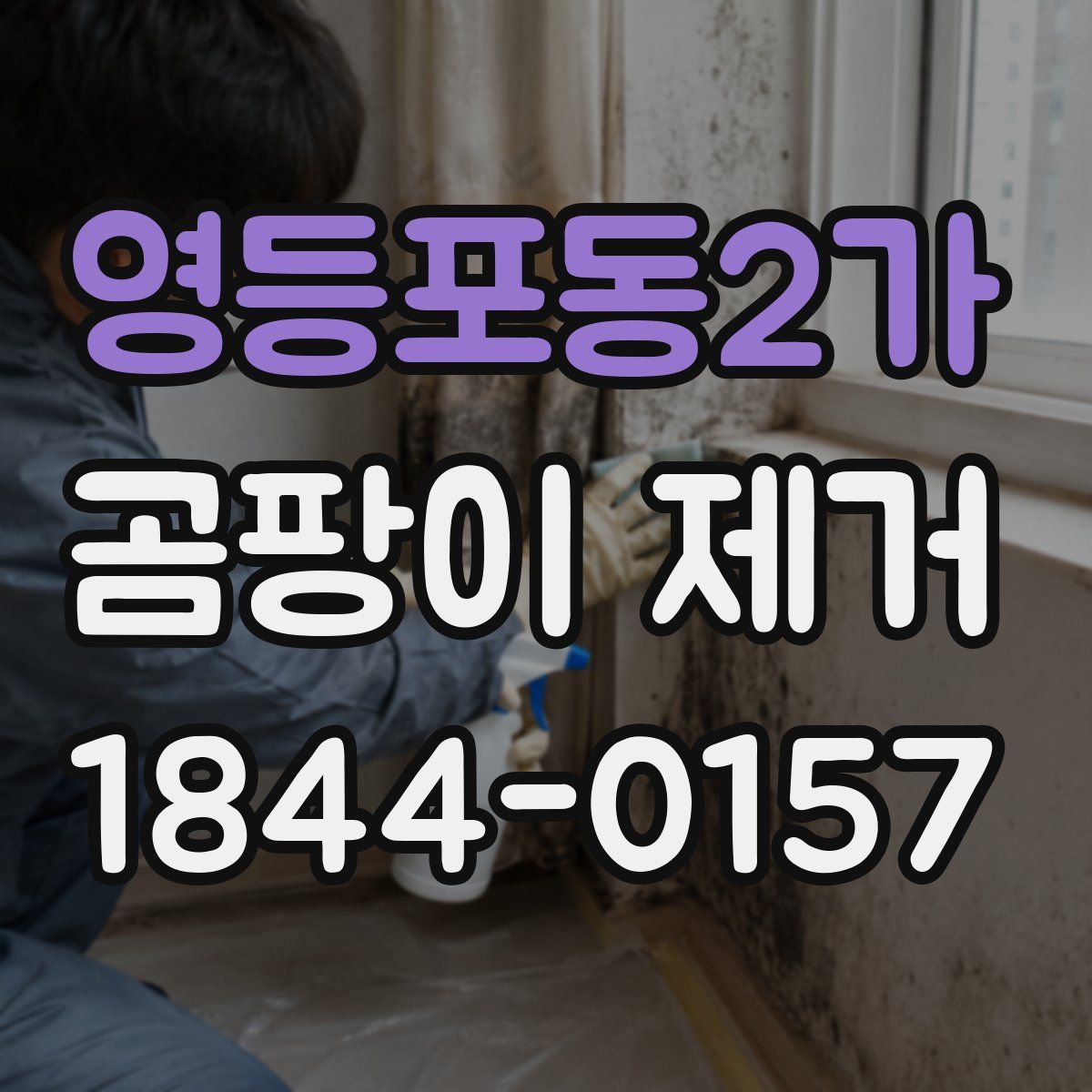영등포동2가 곰팡이 제거