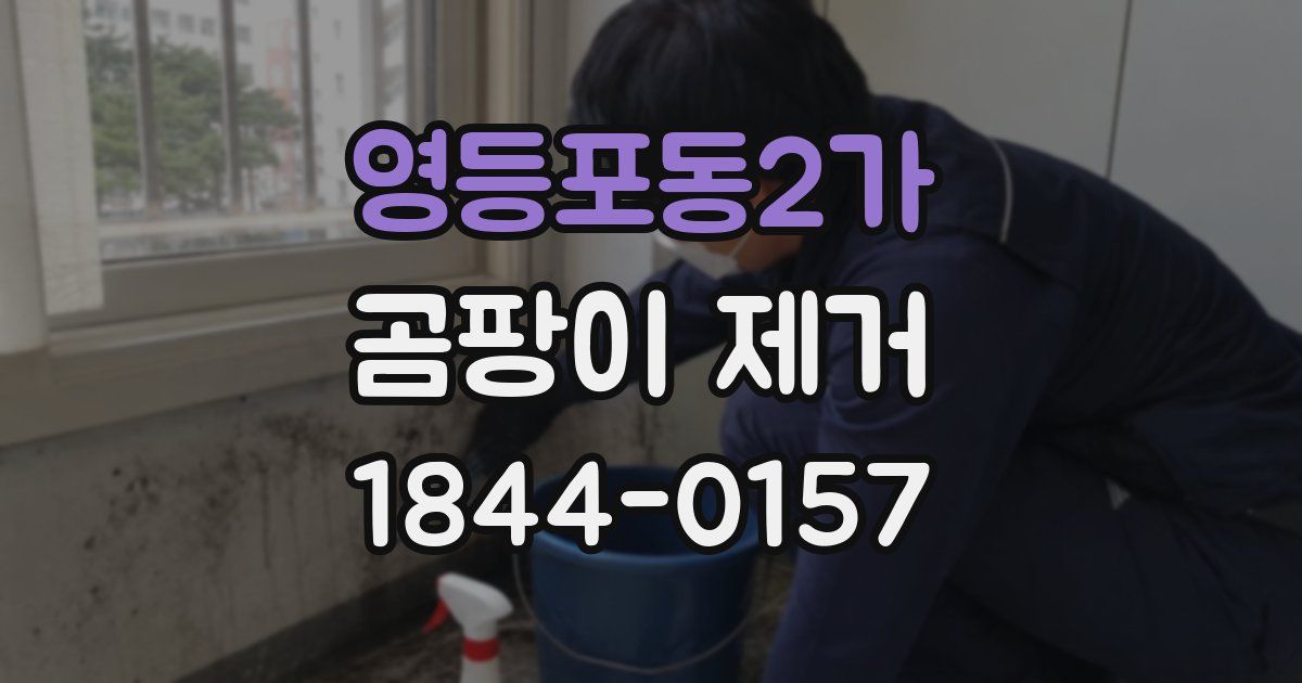 영등포동2가 곰팡이 제거