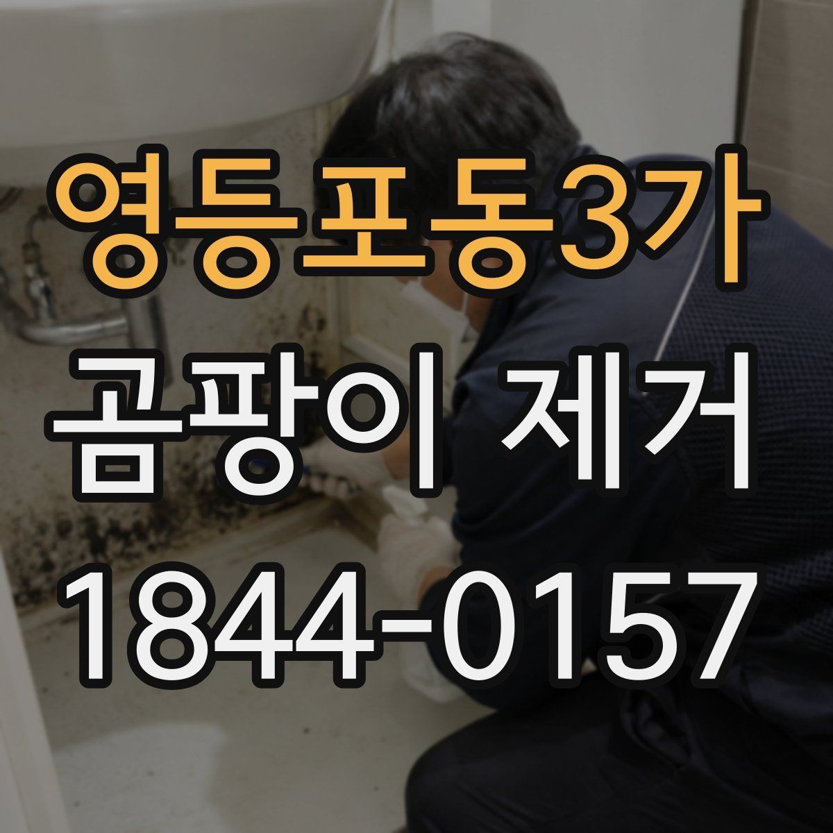 영등포동3가 곰팡이 제거 안전수칙과 마스크 준비가 필요한 이유