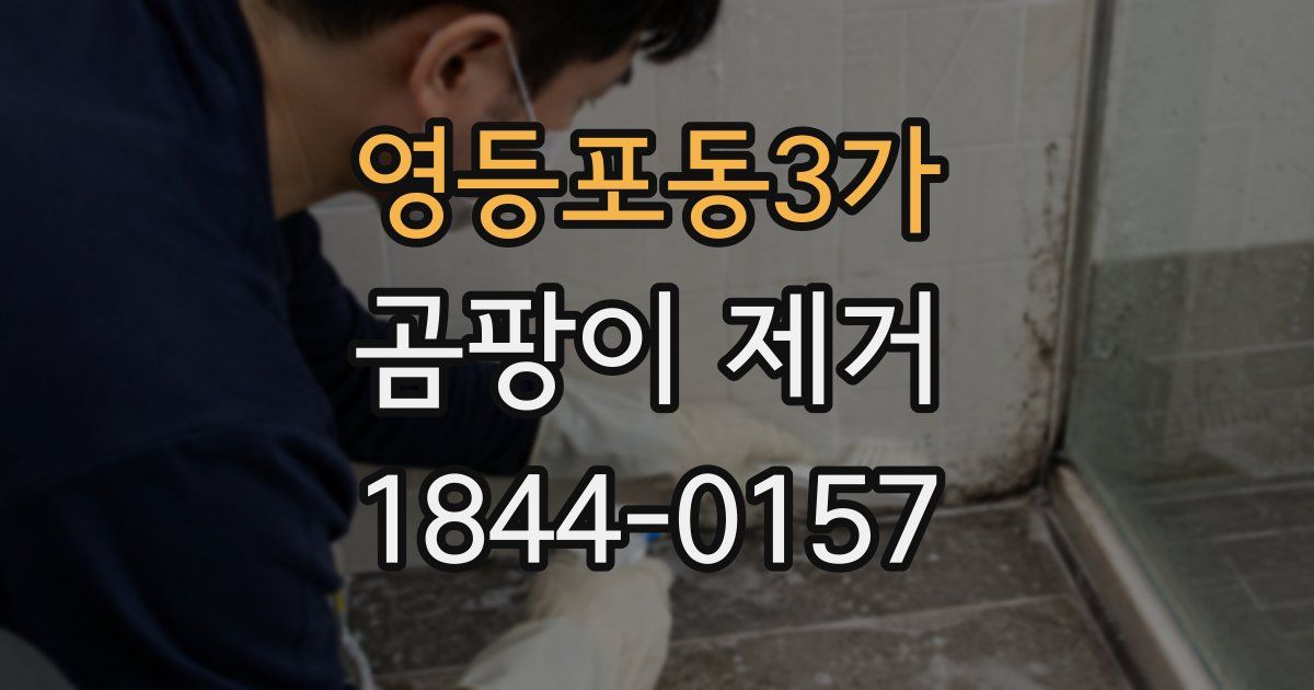 영등포동3가 곰팡이 제거