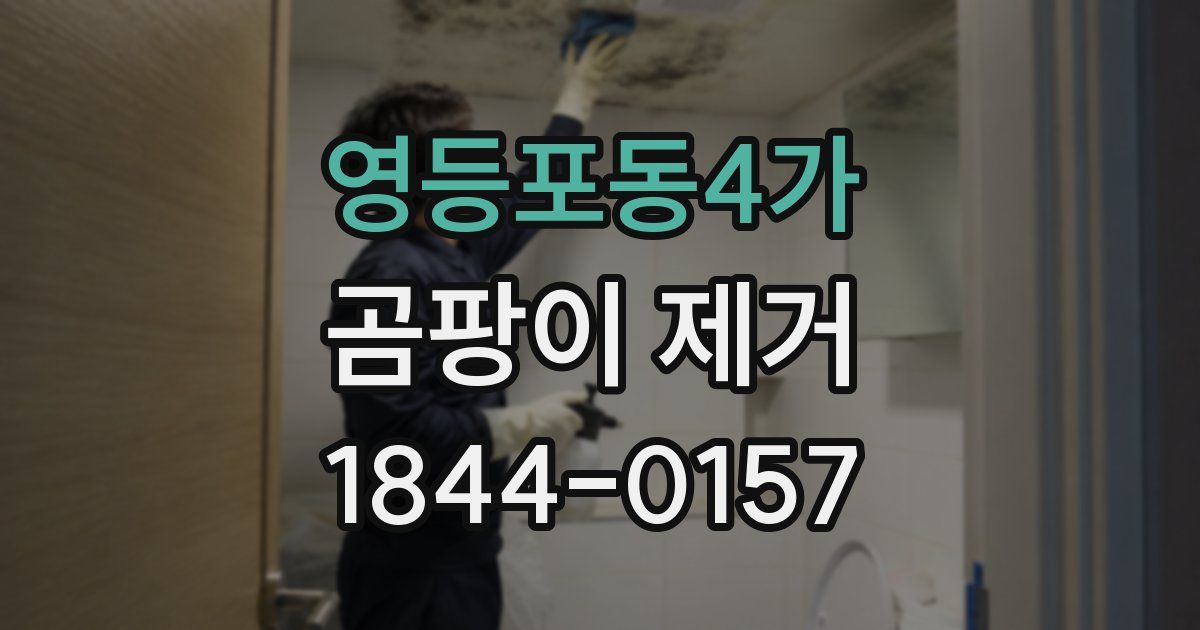 영등포동4가 곰팡이 제거
