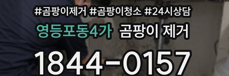 영등포동4가 곰팡이 제거