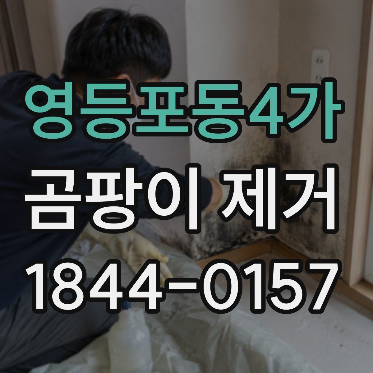 영등포동4가 곰팡이 제거