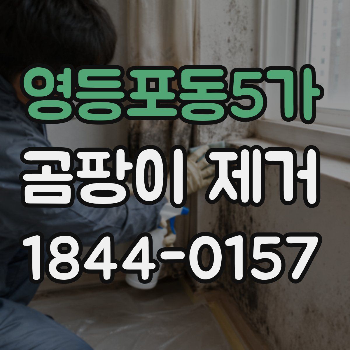 영등포동5가 곰팡이 제거