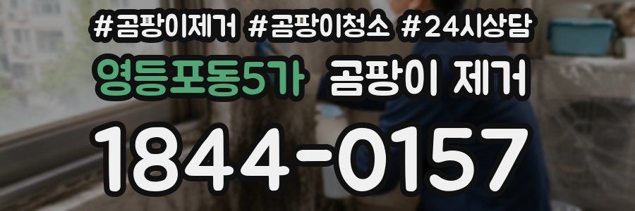 영등포동5가 곰팡이 제거