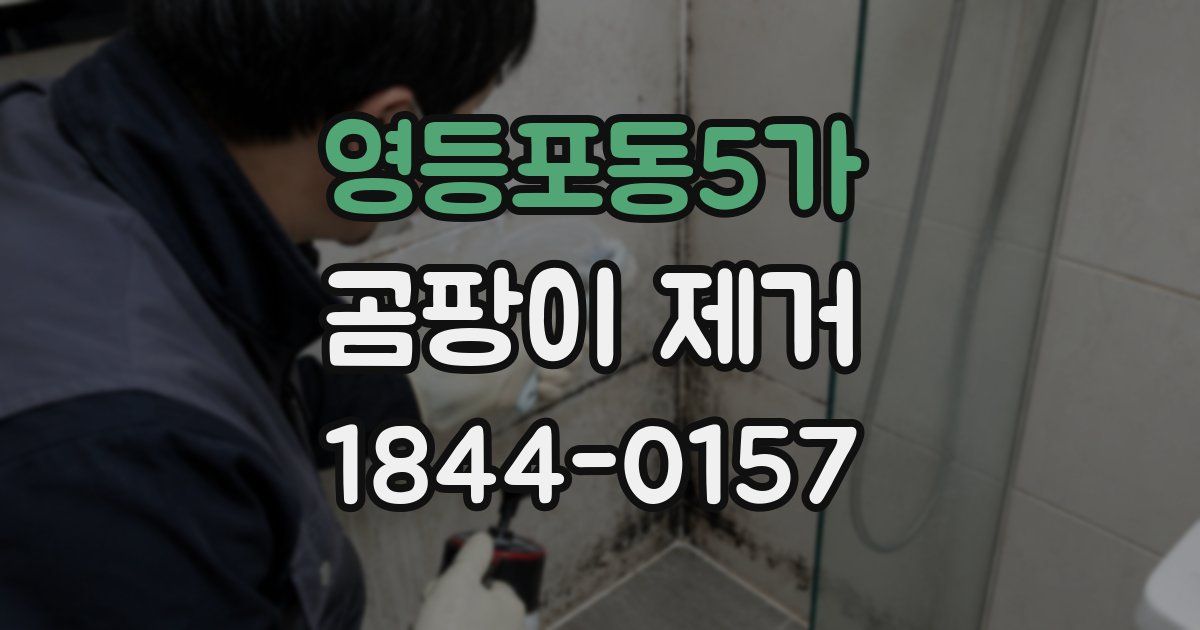 영등포동5가 곰팡이 제거