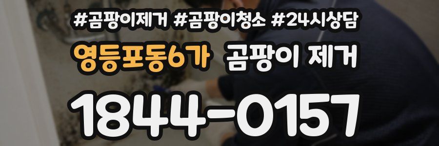 영등포동6가 곰팡이 제거