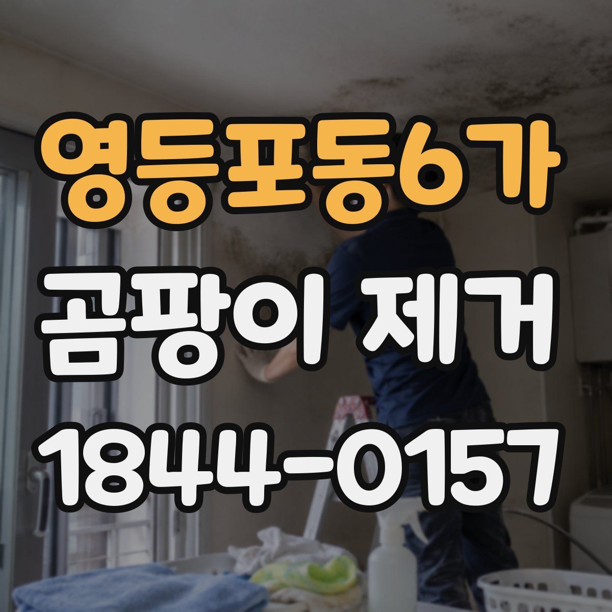 영등포동6가 곰팡이 제거