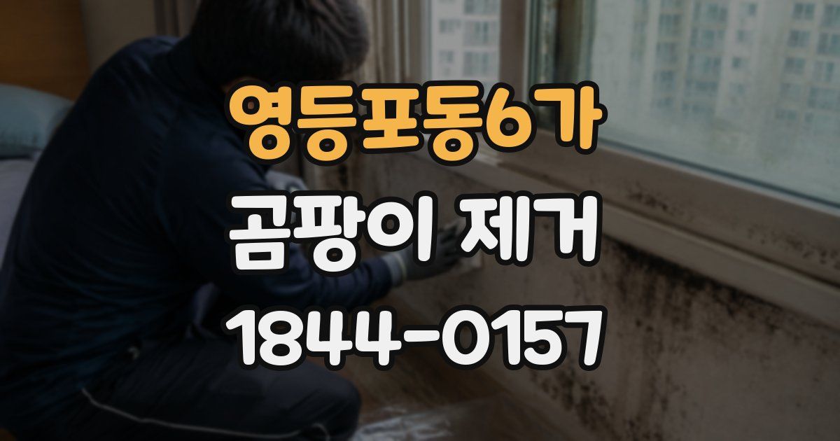 영등포동6가 곰팡이 제거