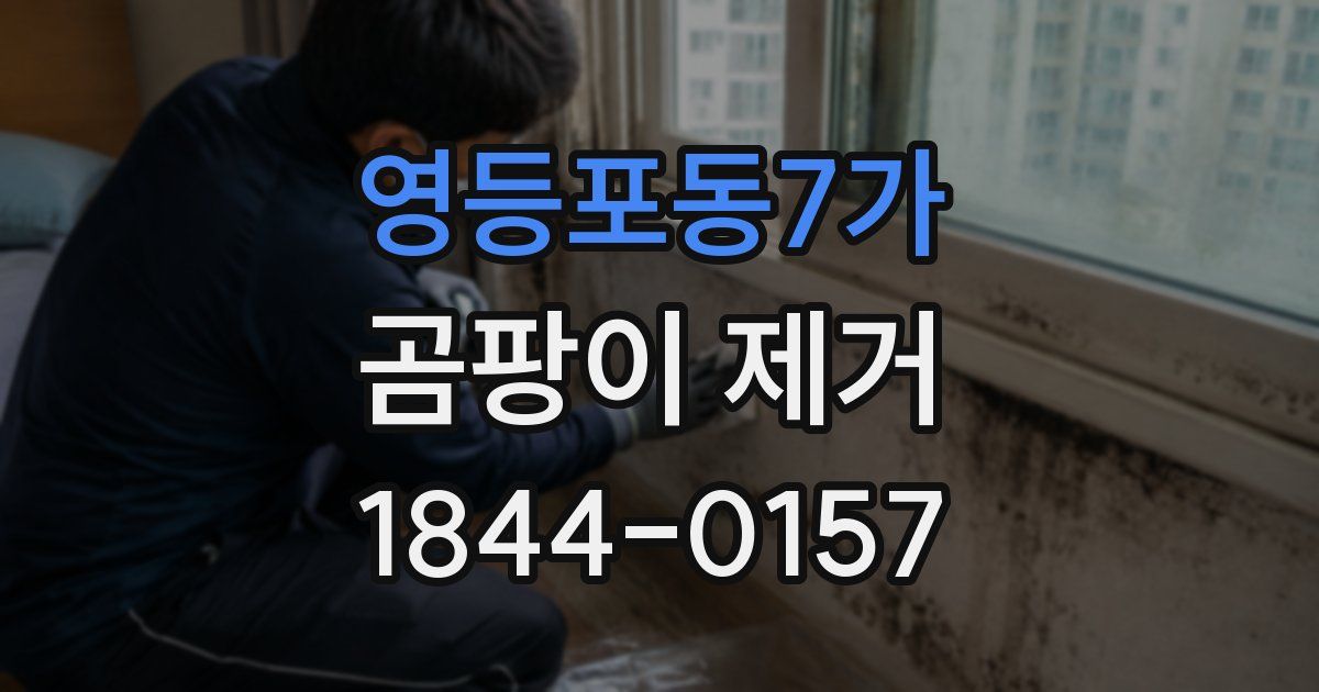 영등포동7가 곰팡이 제거