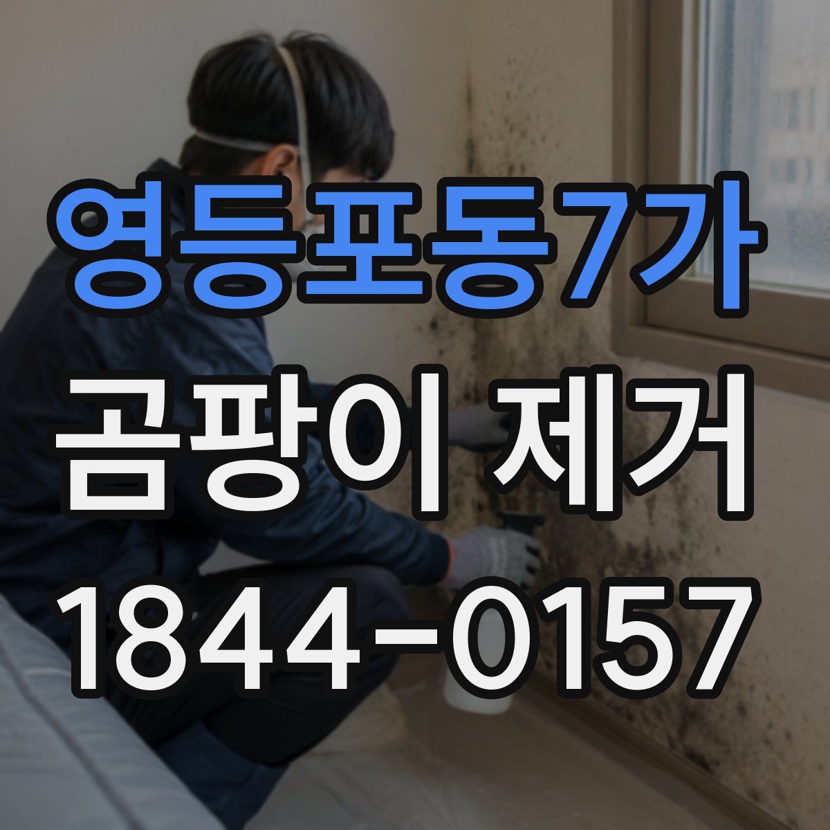 영등포동7가 곰팡이 제거