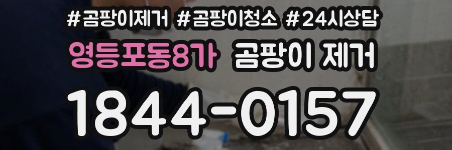 영등포동8가 곰팡이 제거