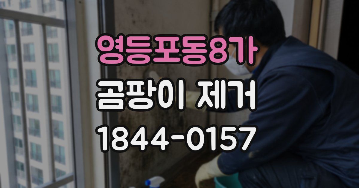 영등포동8가 곰팡이 제거