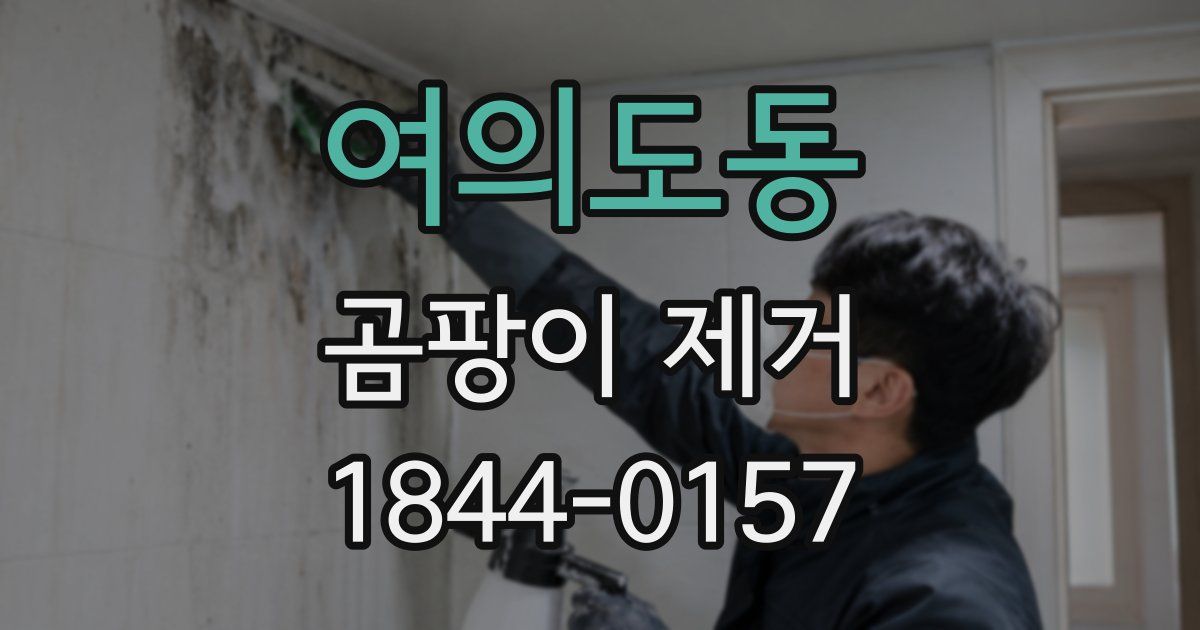 여의도동 곰팡이 제거