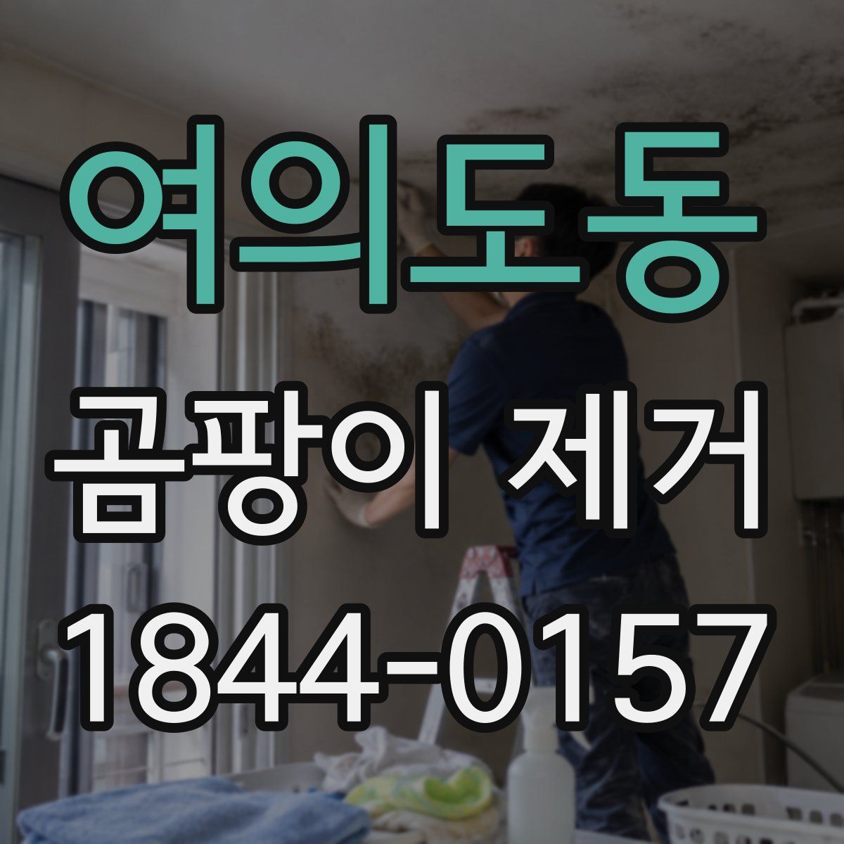 여의도동 곰팡이 제거
