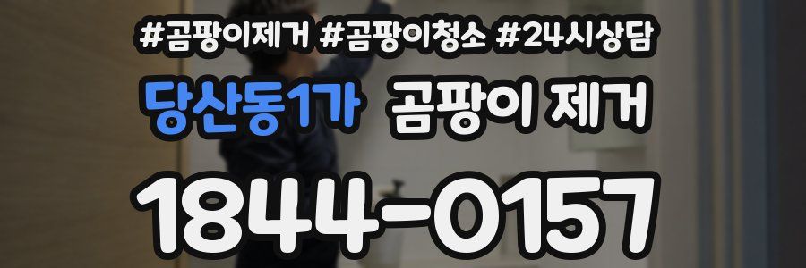 당산동1가 곰팡이 제거
