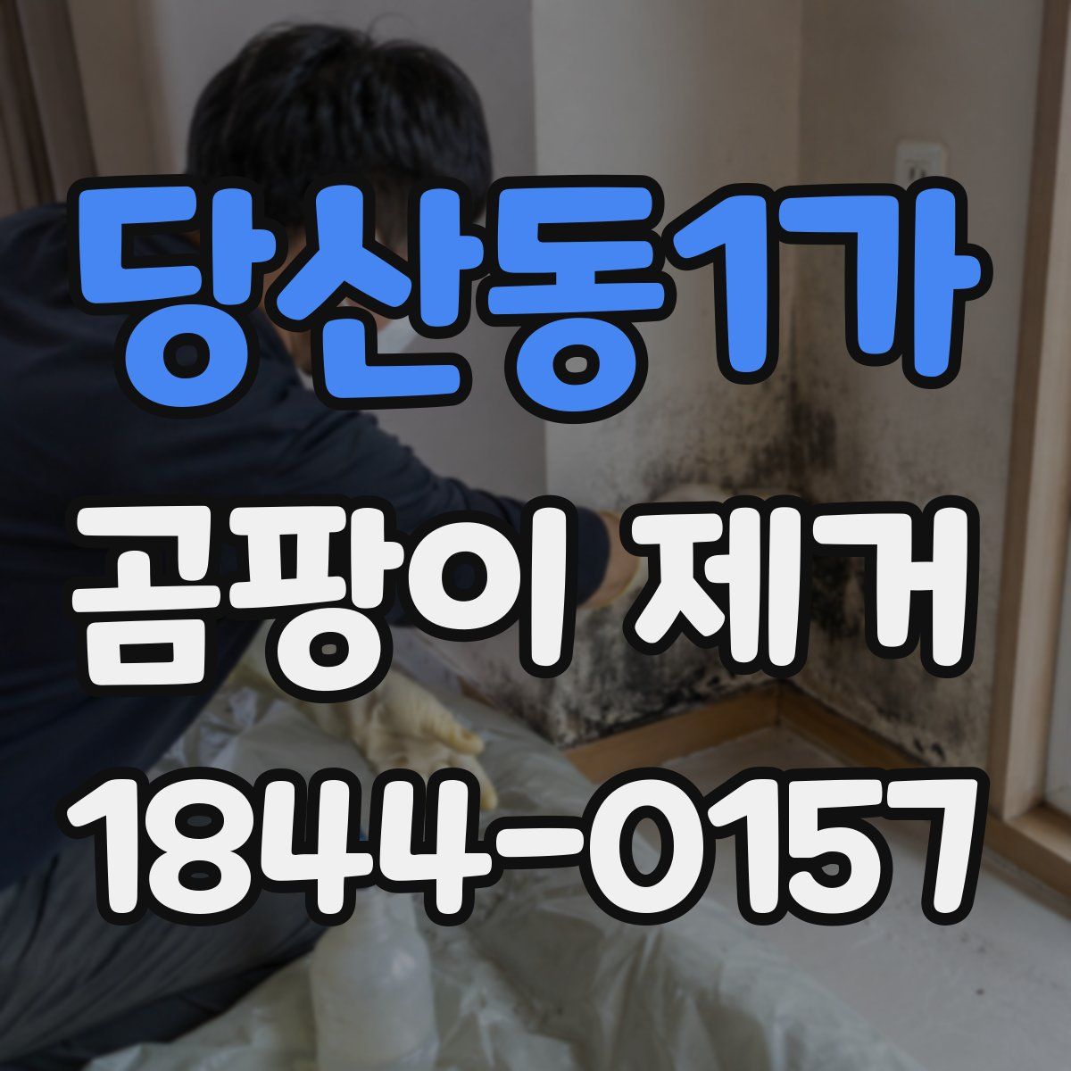 당산동1가 곰팡이 제거