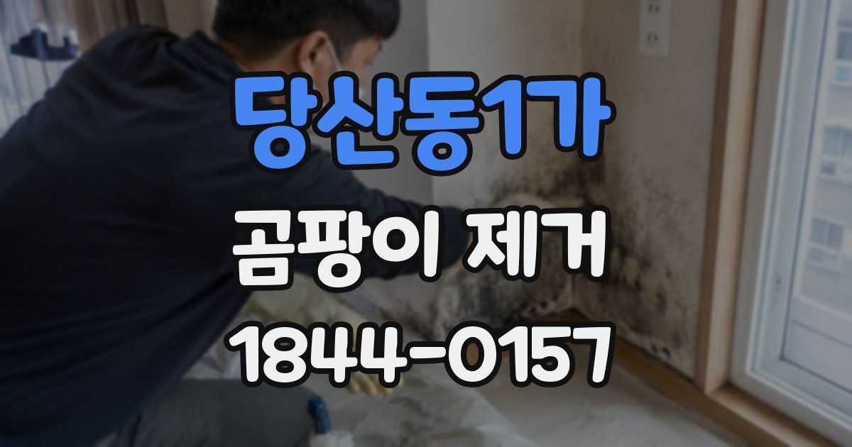 당산동1가 곰팡이 제거