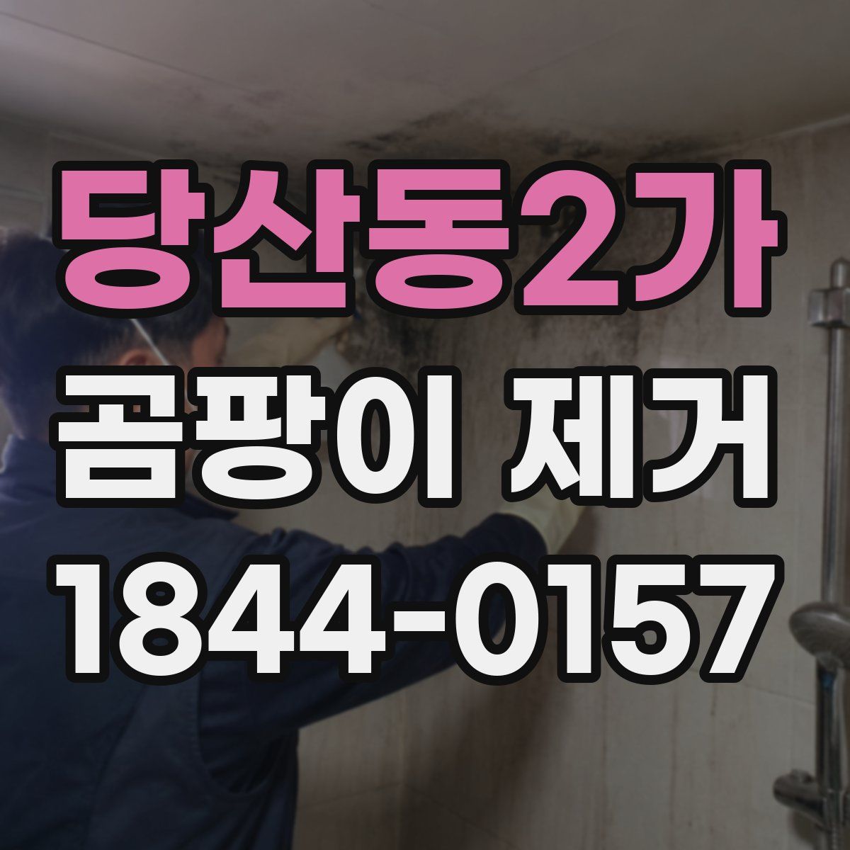 당산동2가 곰팡이 제거