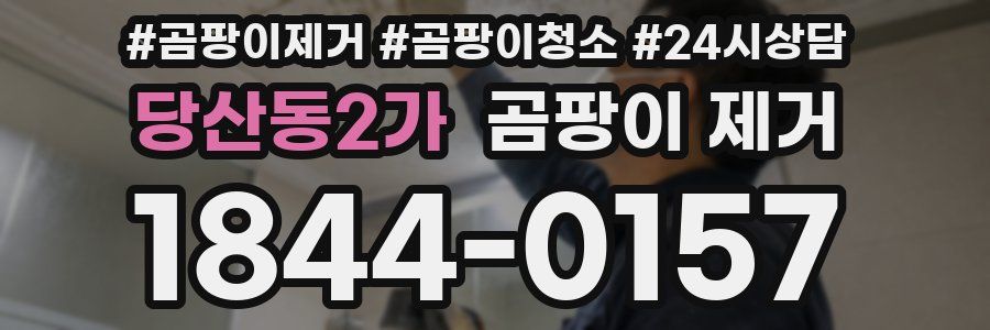 당산동2가 곰팡이 제거