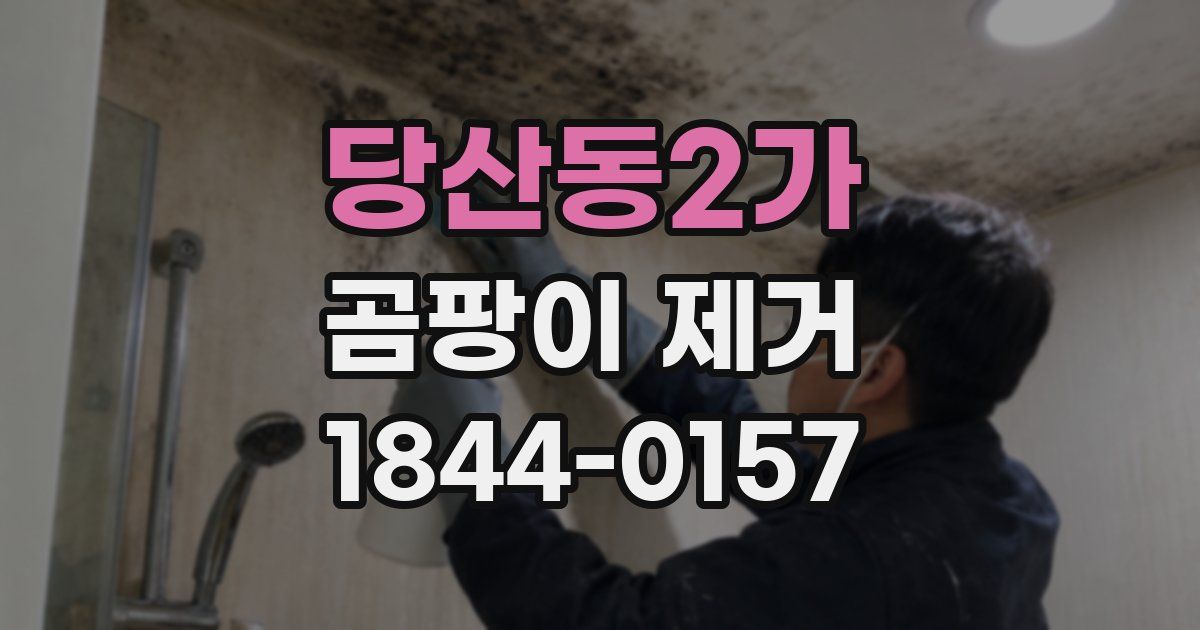 당산동2가 곰팡이 제거