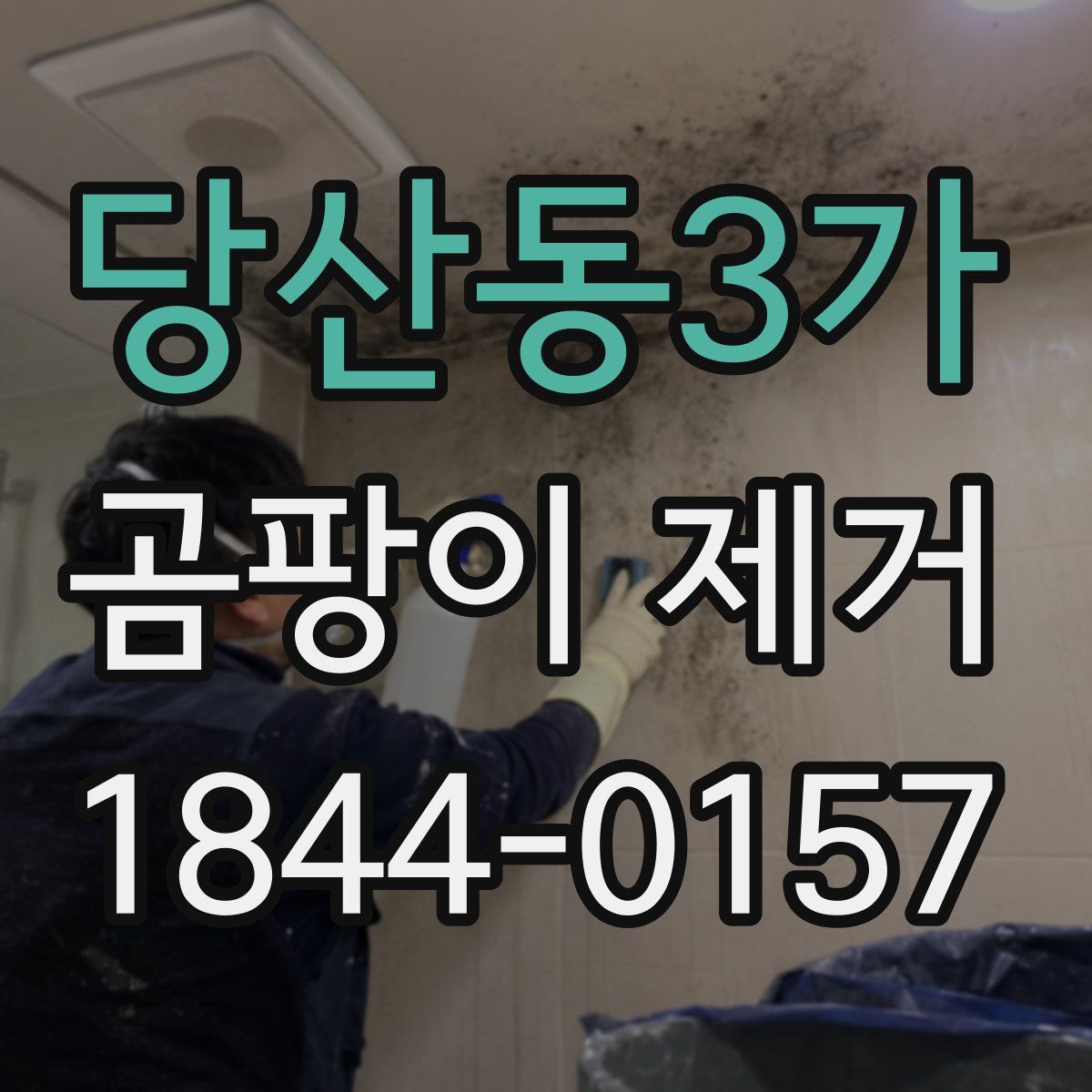 당산동3가 곰팡이 제거