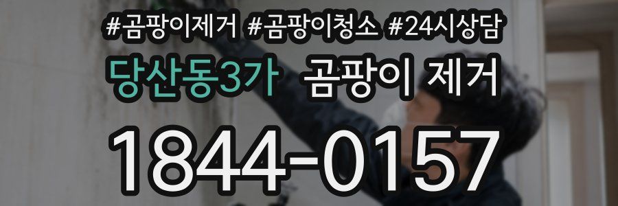 당산동3가 곰팡이 제거