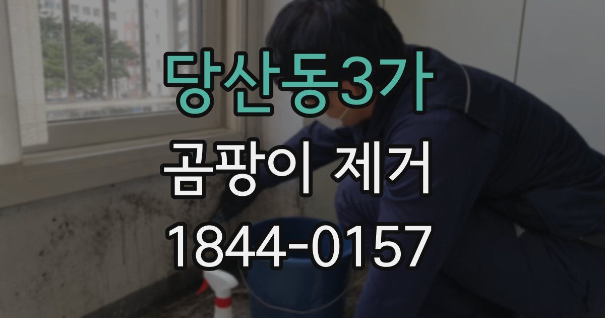 당산동3가 곰팡이 제거