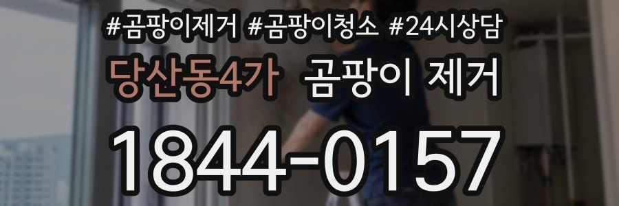 당산동4가 곰팡이 제거