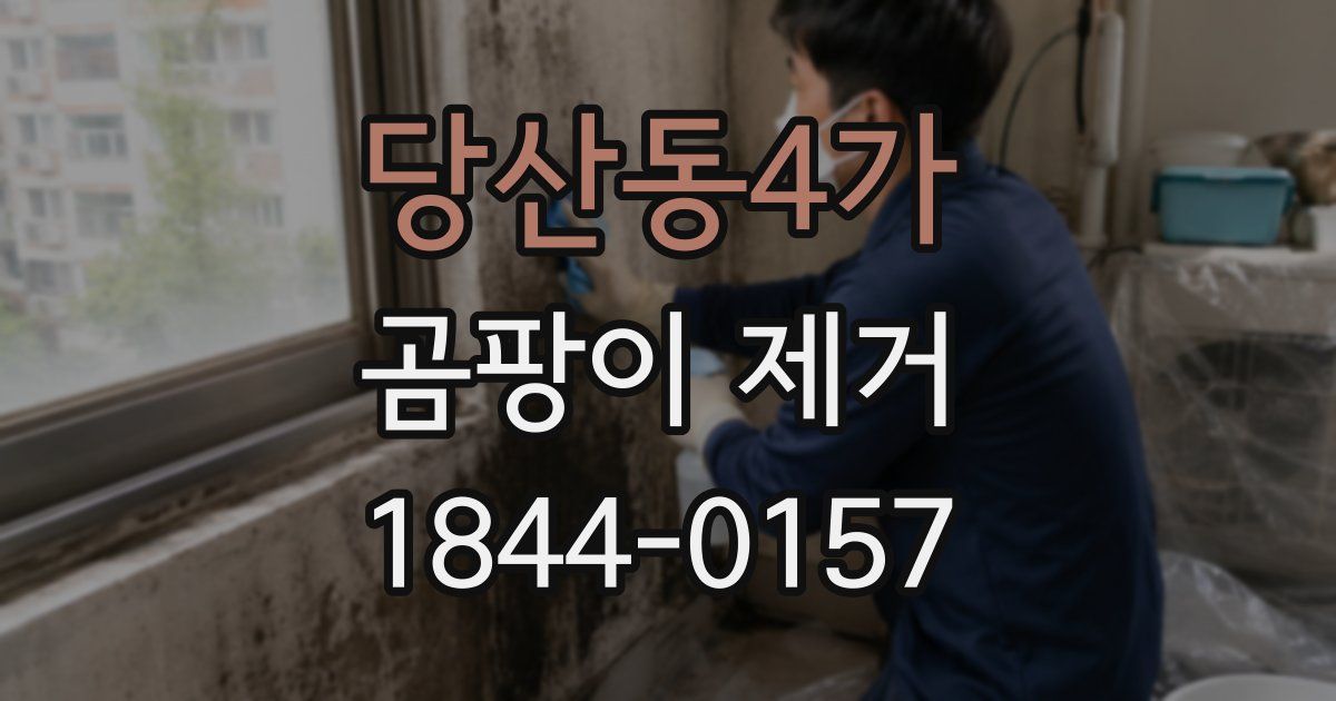 당산동4가 곰팡이 제거