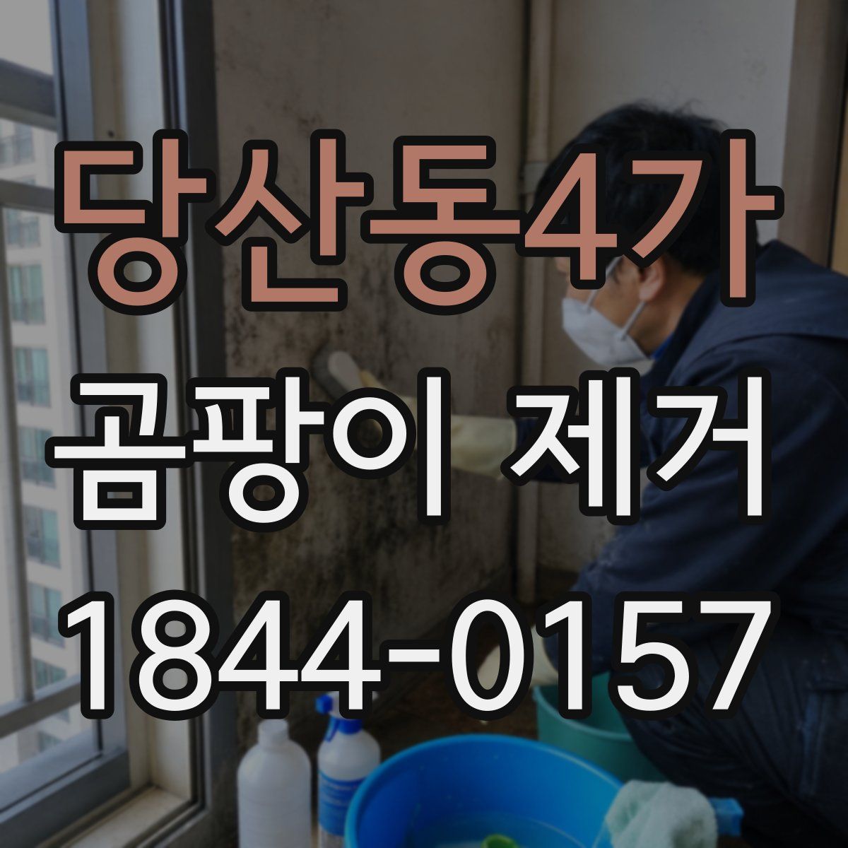 당산동4가 곰팡이 제거