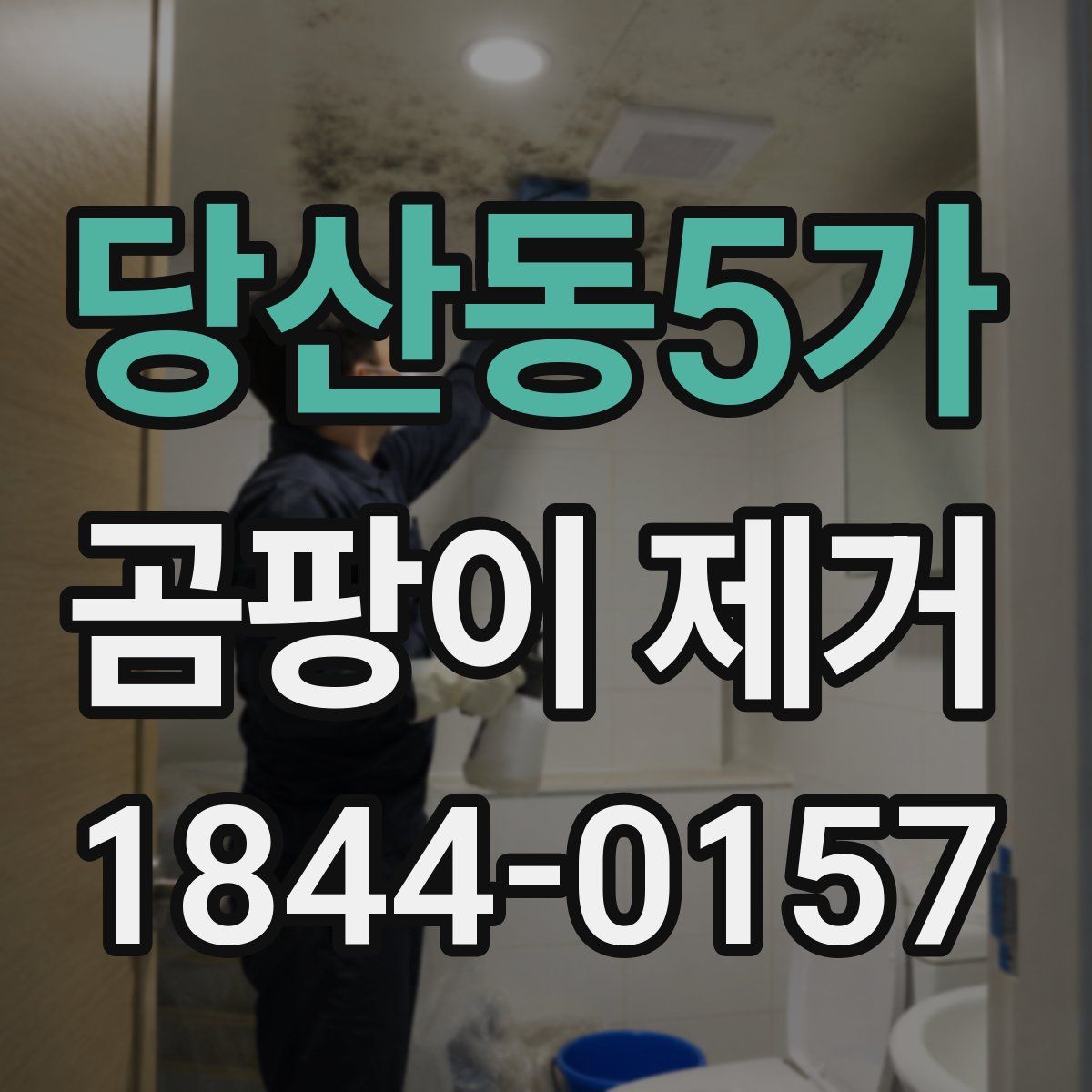 당산동5가 곰팡이 제거