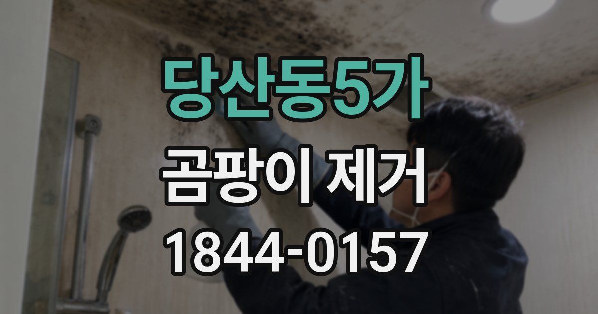 당산동5가 곰팡이 제거