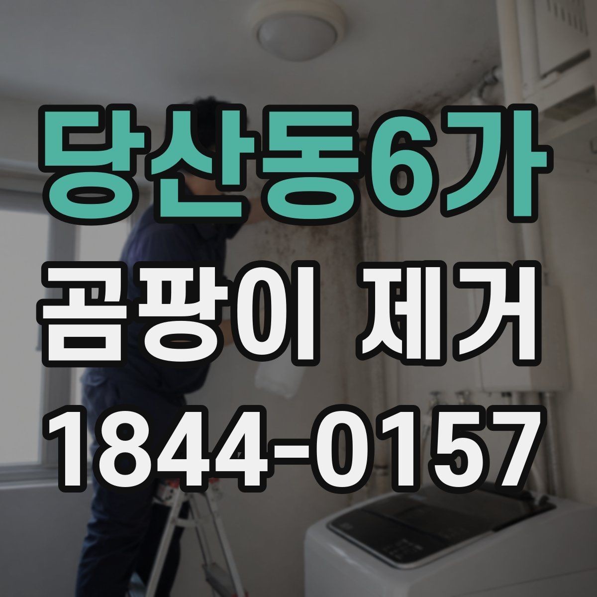 당산동6가 곰팡이 제거 결로가 반복될 때 확인할 부분