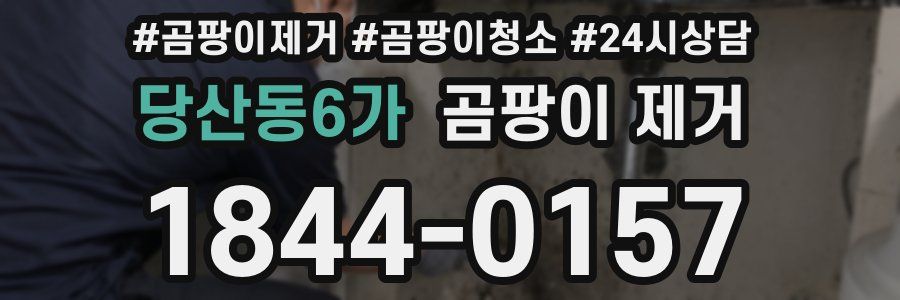 당산동6가 곰팡이 제거