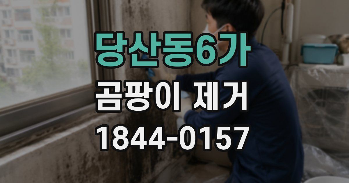 당산동6가 곰팡이 제거
