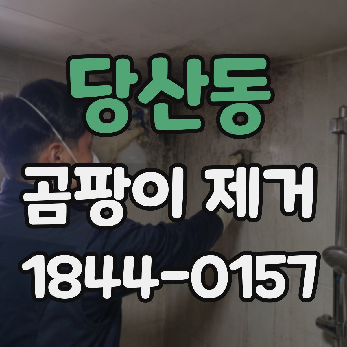 당산동 곰팡이 제거