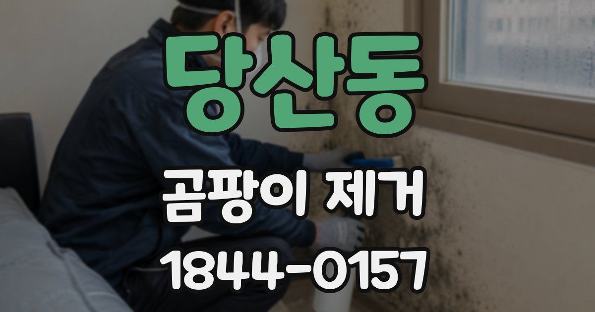 당산동 곰팡이 제거