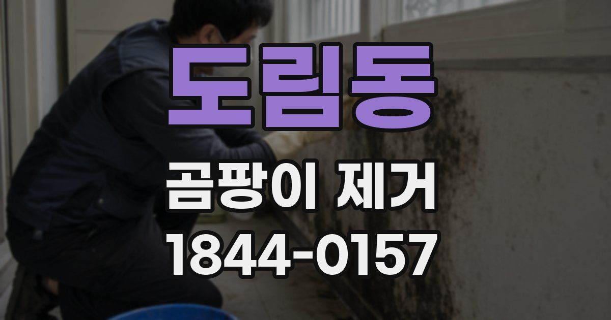 도림동 곰팡이 제거