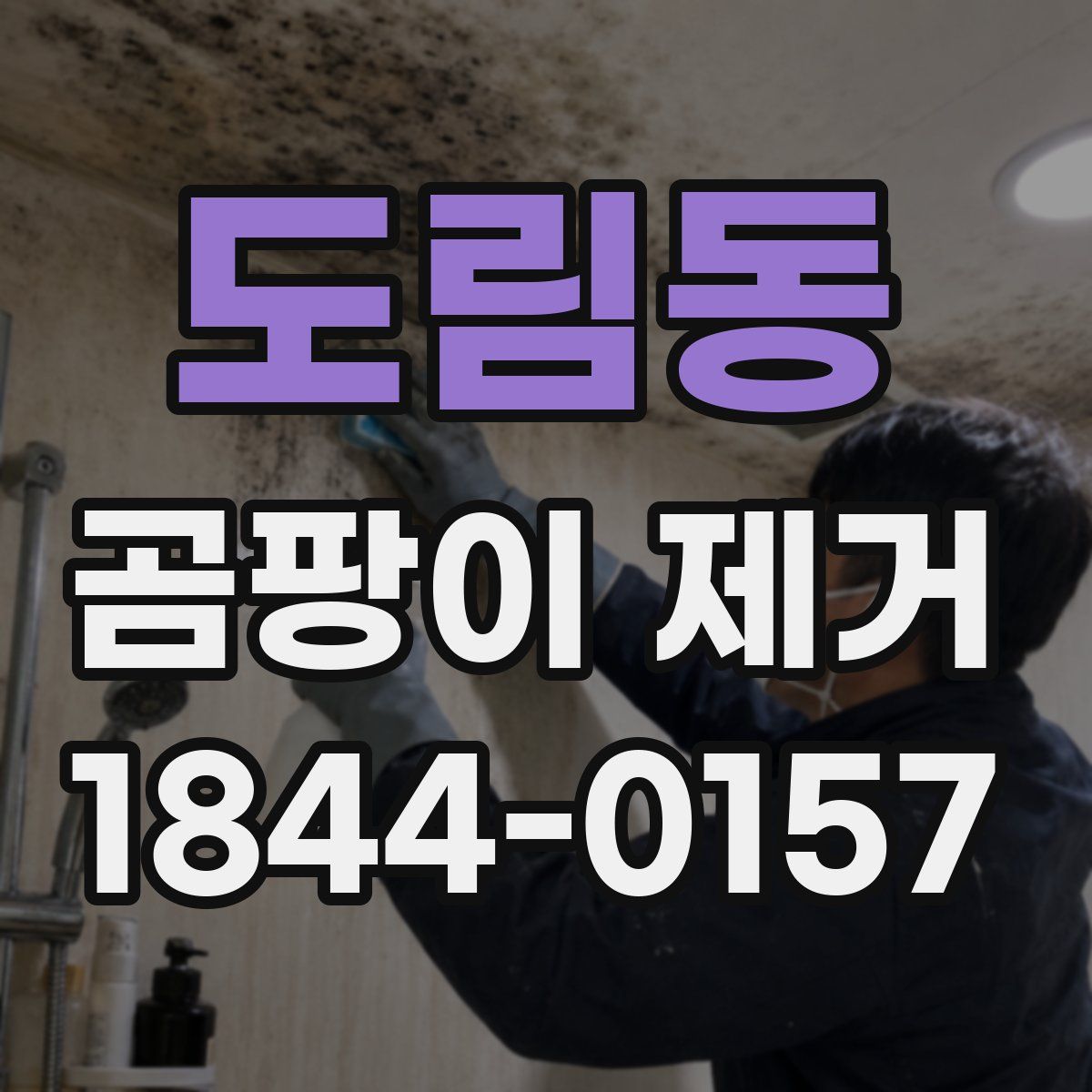 도림동 곰팡이 제거