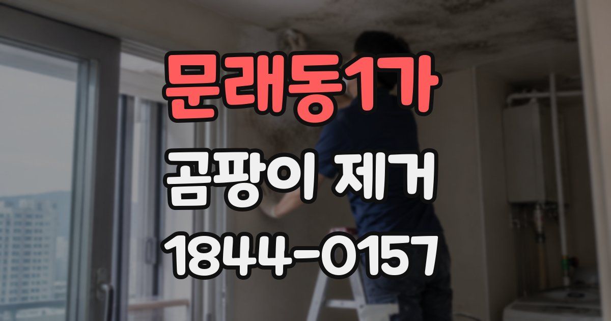 문래동1가 곰팡이 제거