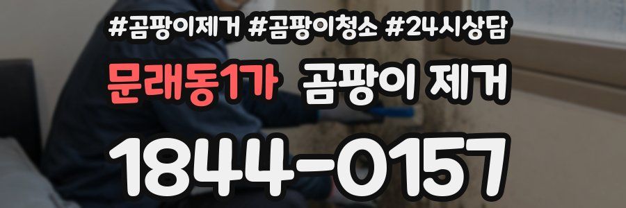 문래동1가 곰팡이 제거