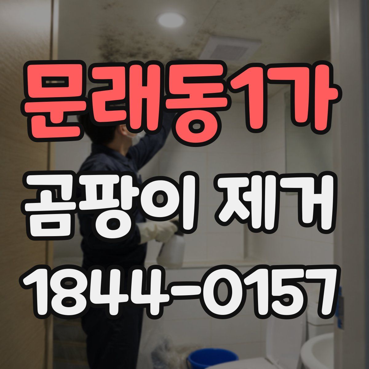 문래동1가 곰팡이 제거