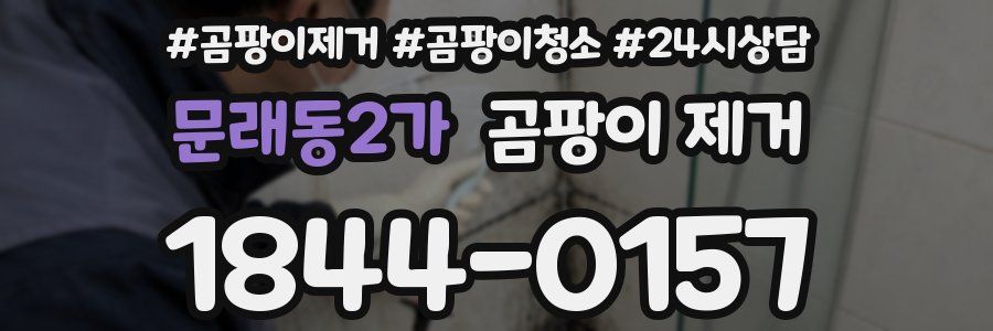 문래동2가 곰팡이 제거