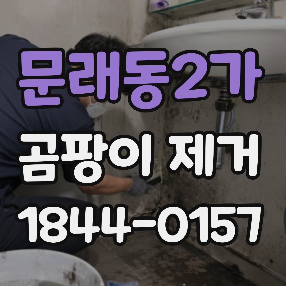 문래동2가 곰팡이 제거
