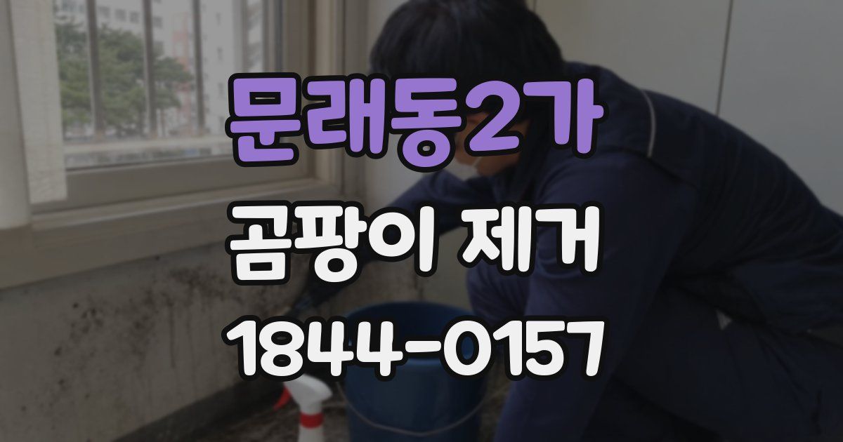 문래동2가 곰팡이 제거
