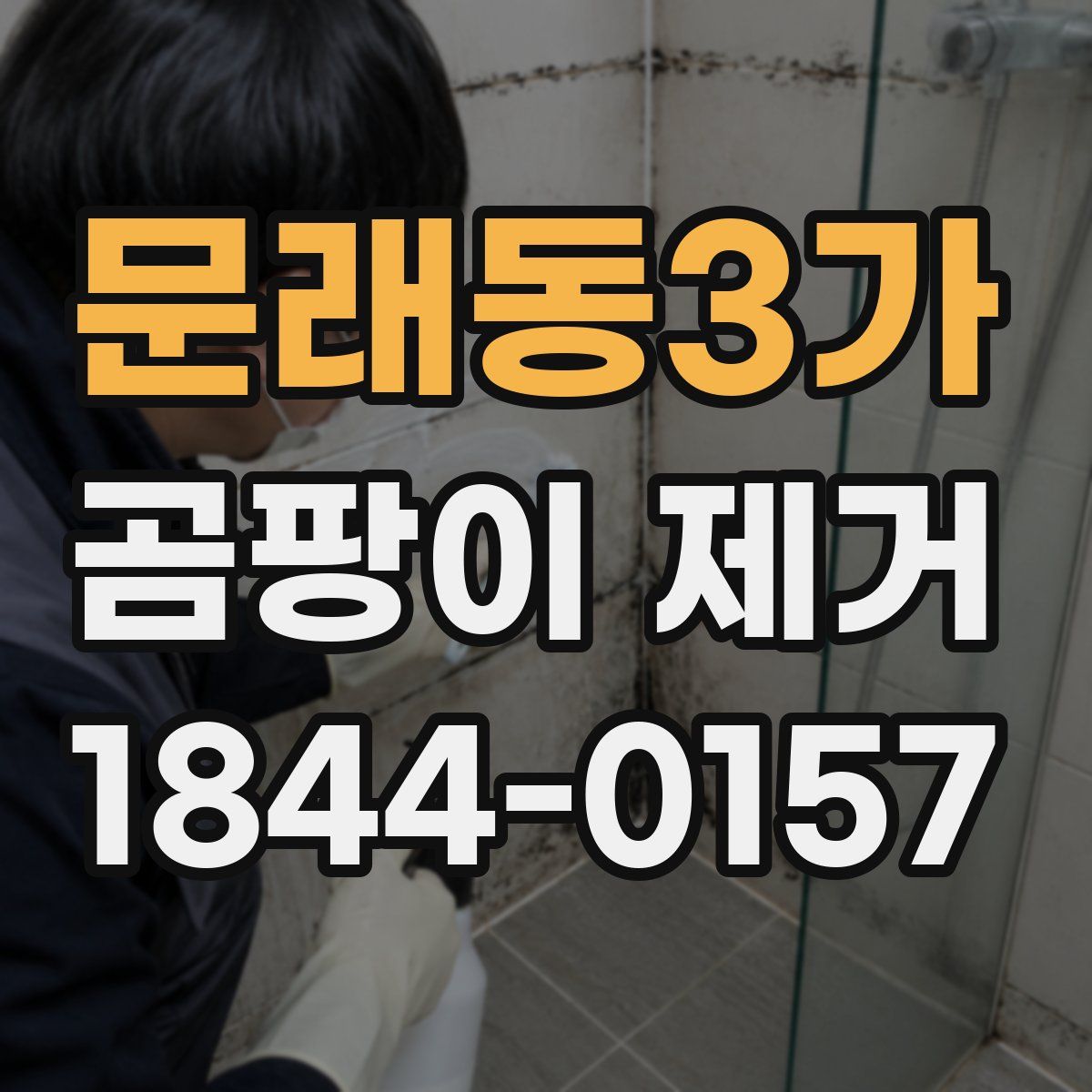 문래동3가 곰팡이 제거