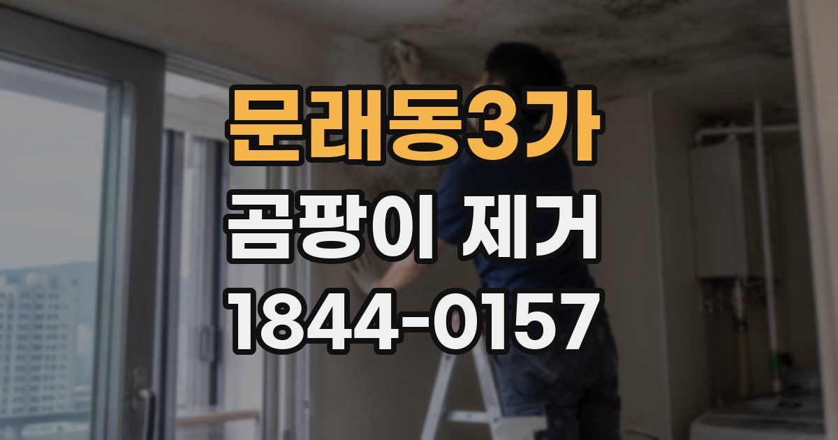 문래동3가 곰팡이 제거