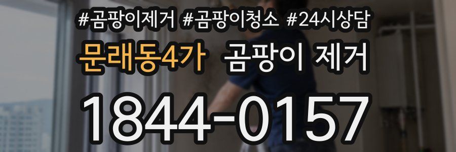 문래동4가 곰팡이 제거