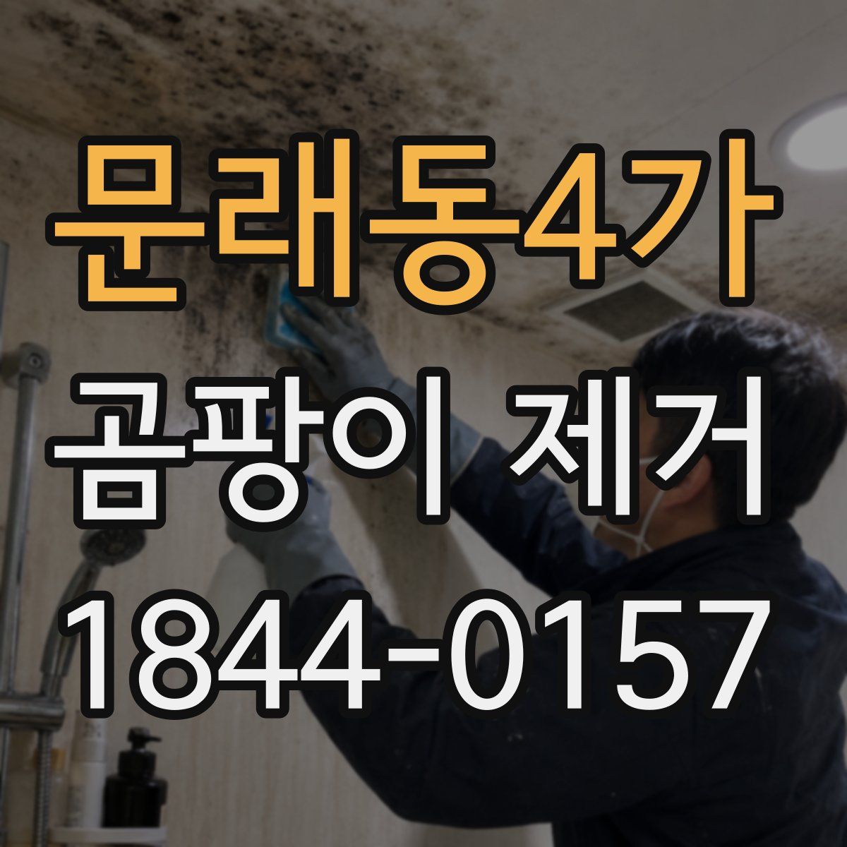 문래동4가 곰팡이 제거